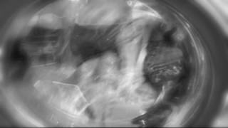 Broken Mirrors - Scott Garriott