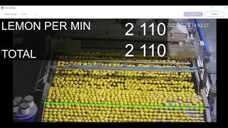 Abto Fruit Counting YouTube Video