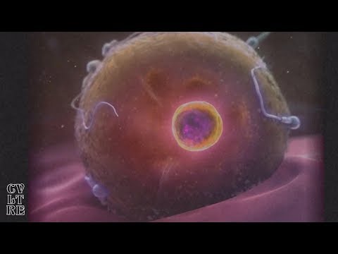 Indigo Children - Ghetto Dreams  ( C V L T R E Exclusive )