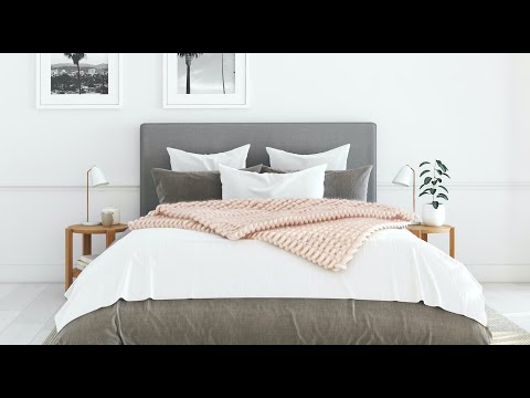 Why are Bed Bugs Attracted to Humans?