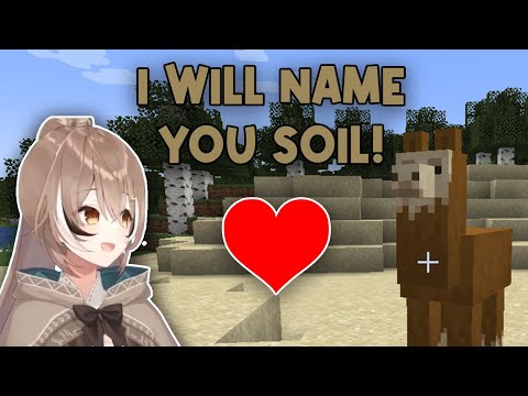 Mumei being adorable for 8 minutes【Minecraft Stream Highlights】