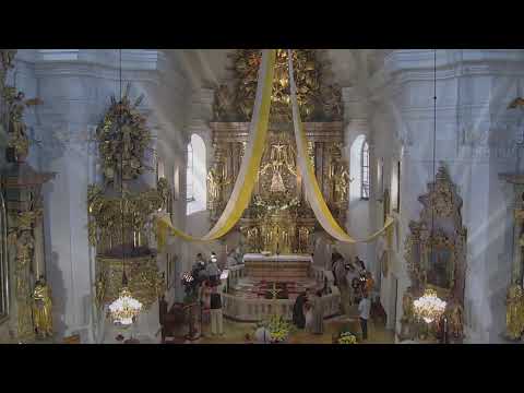 Maria Schutz, Hochfest Maria Himmelfahrt Zelebrant P. Thomas M. Höflich  CP 15.8.2023 11.00 Uhr