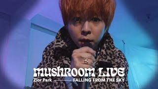 MUSHROOM LIVE S01 Zior Park - FALLING FROM THE SKY #MUSHROOMLIVE #ZiorPark