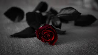 Download lagu Hattan ~ Sekuntum Mawar Merah 🌹(Lirik) HQ mp3 Download lagu Hattan ~ Sekuntum Mawar Merah 🌹(Lirik) HQ mp3