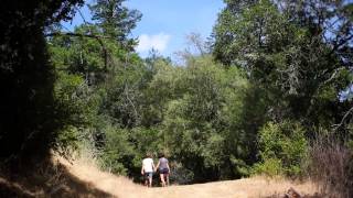 preview picture of video 'Russian River Santa Rosa California RV Resort and Campground'