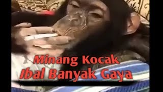 Download lagu Minang Kocak Video Lucu Ibal si Monyet Ganteng Banyak Gaya mp3 Download lagu Minang Kocak Video Lucu Ibal si Monyet Ganteng Banyak Gaya mp3