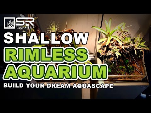 Build your Dream Aquascape with SR Aquaristik Shallow Rimless Aquarium