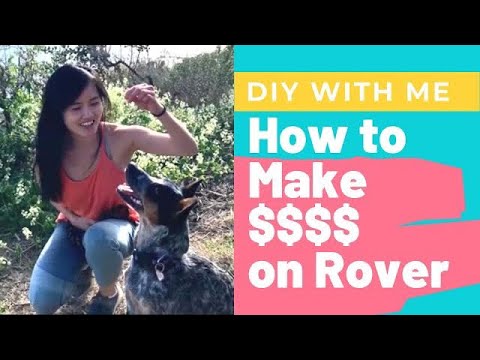 How to Make Money Pet Sitting and Walking on Rover