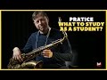 Chris Potter - What to Study as a Student