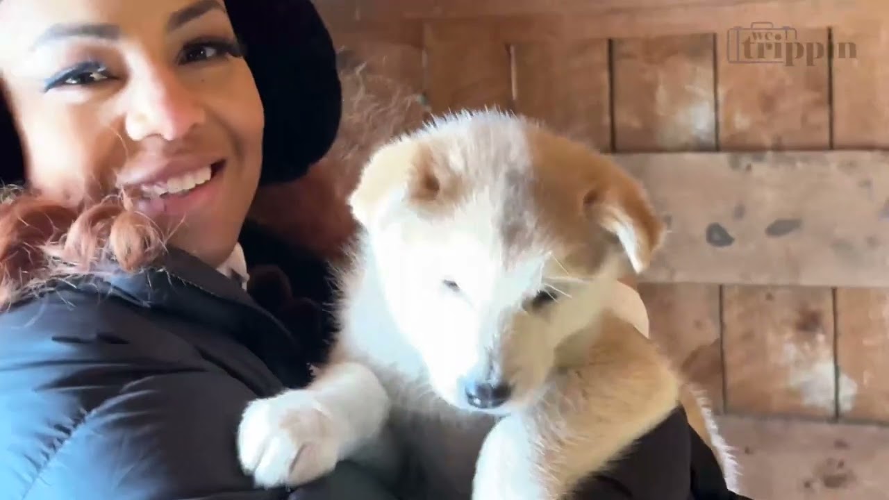 We Trippin Winter Marathon