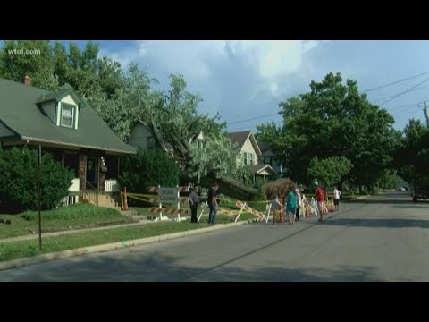 Trees down, houses damaged, power out after storm hits Bowling Green