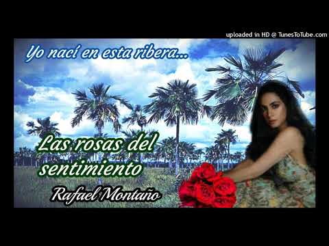 Las rosas del sentimiento: Pedro Emilio Sánchez - Rafael Montaño.