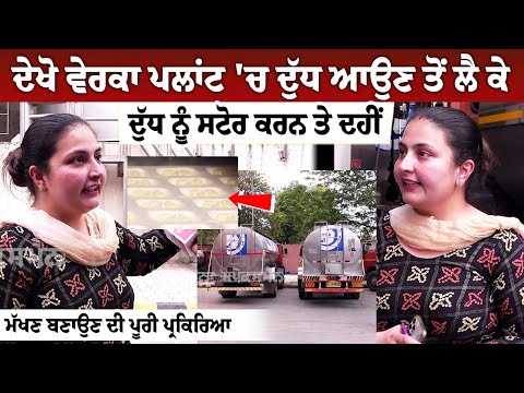 ਦੇਖੋ Verka Plant 'ਚ Milk ਆਉਣ ਤੋਂ ਲੈ ਕੇ ਦੁੱਧ ਨੂੰ ਸਟੋਰ ਕਰਨ ਤੇ ਦਹੀਂ, ਮੱਖਣ ਬਣਾਉਣ ਦੀ ਪੂਰੀ ਪ੍ਰਕਿਰਿਆ