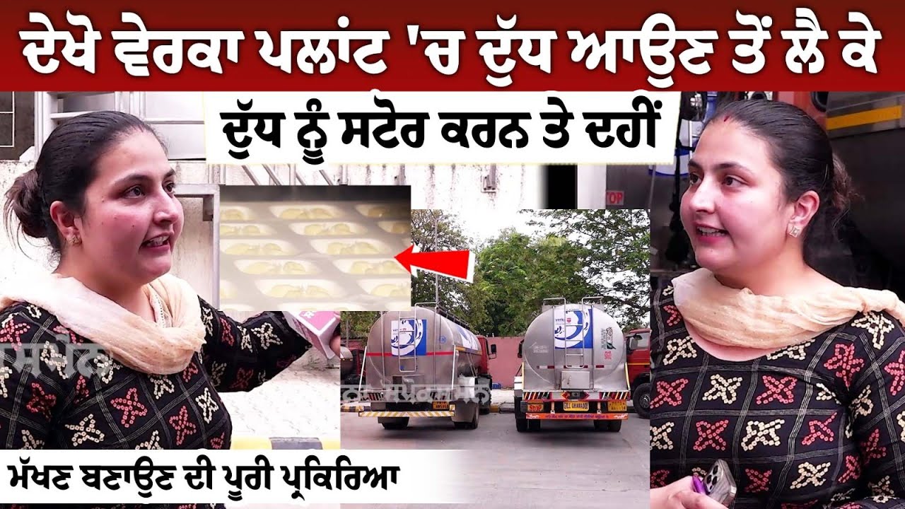 ਦੇਖੋ Verka Plant 'ਚ Milk ਆਉਣ ਤੋਂ ਲੈ ਕੇ ਦੁੱਧ ਨੂੰ ਸਟੋਰ ਕਰਨ ਤੇ ਦਹੀਂ, ਮੱਖਣ ਬਣਾਉਣ ਦੀ ਪੂਰੀ ਪ੍ਰਕਿਰਿਆ ਦੇਖੋ Verka Plant 'ਚ Milk ਆਉਣ ਤੋਂ ਲੈ ਕੇ ਦੁੱਧ ਨੂੰ ਸਟੋਰ ਕਰਨ ਤੇ ਦਹੀਂ, ਮੱਖਣ ਬਣਾਉਣ ਦੀ ਪੂਰੀ ਪ੍ਰਕਿਰਿਆ