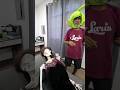 6 GENERACIONES DE LARIN JR Comedia