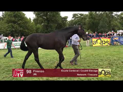 Show AQPS Lion 2017 : Lot 98 - Firenzo