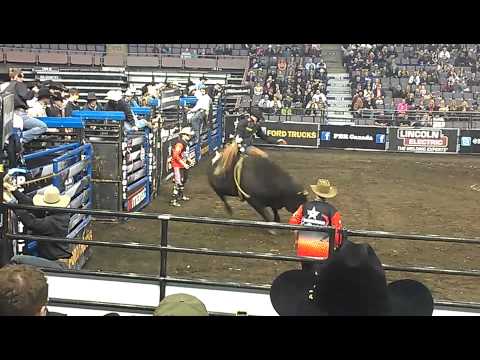 Scott Schiffner 83 pts on Bomb Diggity (WV) Edmonton, AB PBR Canada '12