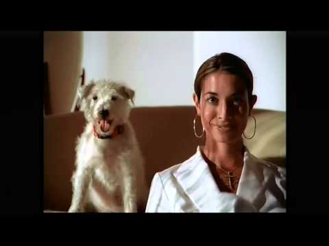 Showtime Women US - Advert & Continuity 29-10-2014 [King Of TV Sat]