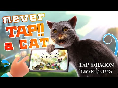 [Tap Dragon: Little Knight Luna] Never tap a cat  !! - YouTube