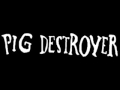 pig destroyer  -  eve