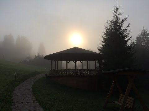 Свободный стиль Цигун Карпаты