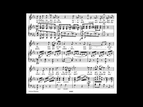 BEST VERSION: Maria Callas - Beethoven: Ah perfido Op. 65 (1964) [score]