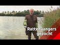 Muskusrattenvanger: 'Een droombaan, maar je moet geen smetvrees hebben'