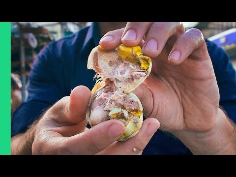 18 Day Chicken Balut in Cebu City + Colon Street Food Tour!
