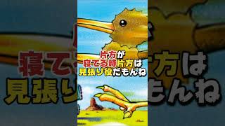 【ポケモン】どうでもいいポケモンの豆知識５選 #ポケモン #ポケモンランキング #ポケモンsv