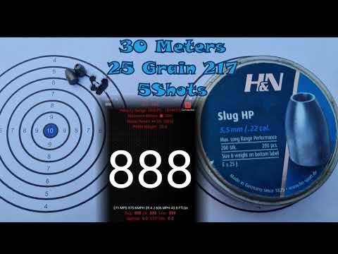 Nova Vista Levethian with different slugs and pellets.