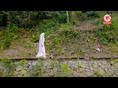 ماشي في الارض ابيا امينة كرم