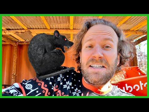 How We Actually Solved the Rodent Problem How We Actually Solved the Rodent Problem