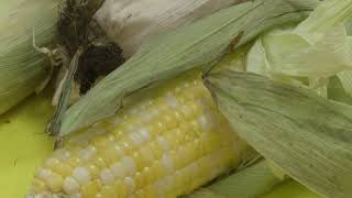 Dietitian gives tips for getting kids to eat healthier