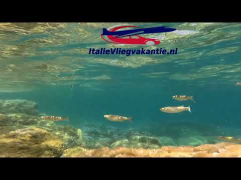 "Ontdek Italië: Van Rome tot Sicilië – Een Luxe & Avontuurlijke Reis vol Smaak, Cultuur en Magie!