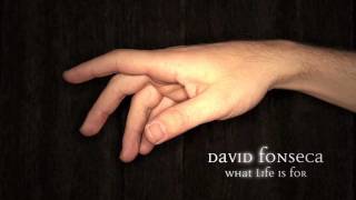 David Fonseca - 