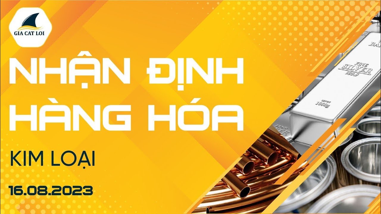Nhận Định Hàng Hoá Kim Loại Ngày 16/08/2023