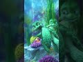 Sammy And Shelly Sammy S Adventures Animation Turtle Love