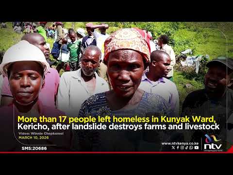 More than 17 people left homeless in Kunyak Ward after landslide destroys farms and livestock