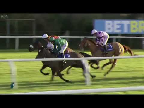 2017 Neptune Investment Management Classic Novices' Hurdle