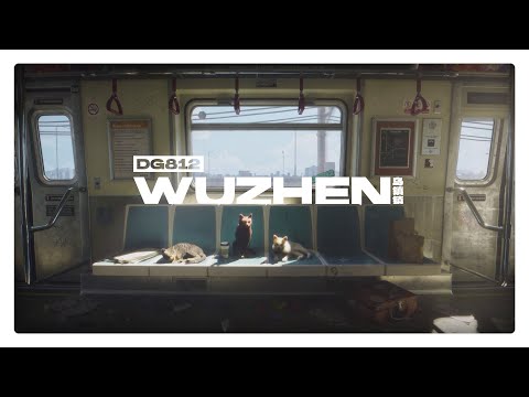 DG812 - Wuzhen