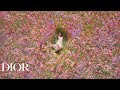 MISS DIOR THE NEW FRAGRANCE
