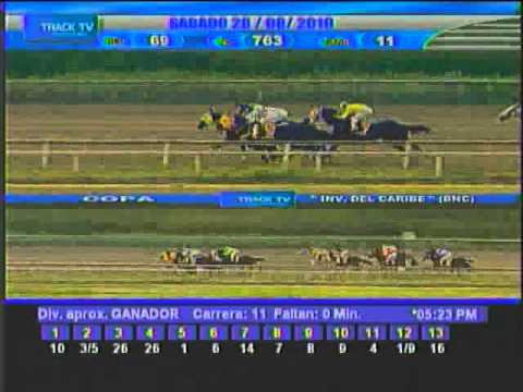 Copa Invitacional del Caribe 2010 VI Gala Hípica - La Rinconada