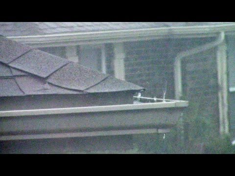 YouTube video about Dealing with Leaking Gutters: Preventing Water Overflows