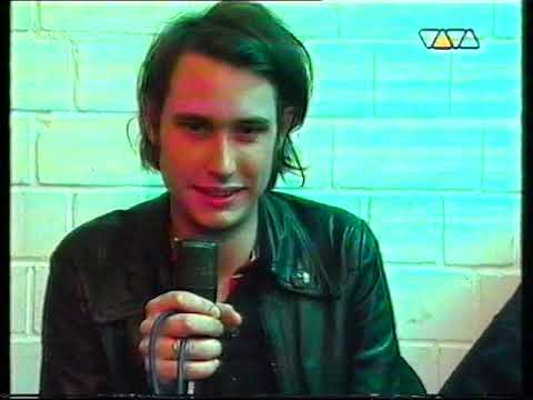 Viva Wah Wah | Dirk von Lowtzow u.a.