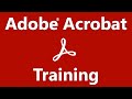 Acrobat Tutorial The Acrobat Document View Adobe Acrobat Training Course