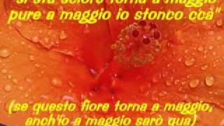 Franco Battiato- Era De Maggio