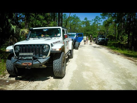 Escort Ocala