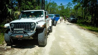 Escort Through Ocala