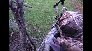 Brendan's Pa Bow Hunt - Shirt Tail Chronicles 2017