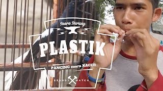 Download lagu Tehnik Memancing Suara Burung Kacer Gacor Dengan PLASTIK BEKAS mp3